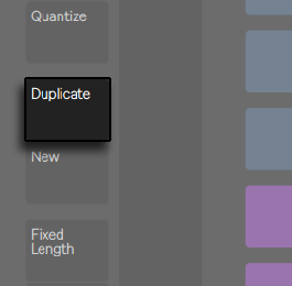 Кнопка Duplicate
