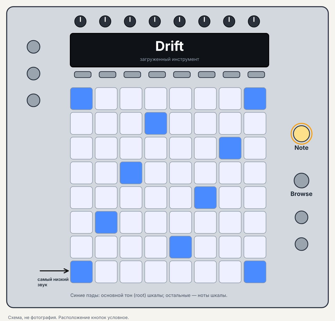 Push 2 в режиме Note с загруженным пэдом Drift