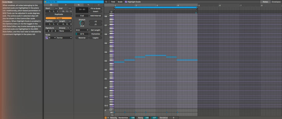Clip View клипа «D Dorian (B)»: Scale = D Dorian, Scale Mode включён, в Piano Roll мелодия D3–F3–A3–B3–A3–F3 на фоне подсвеченных нот лада